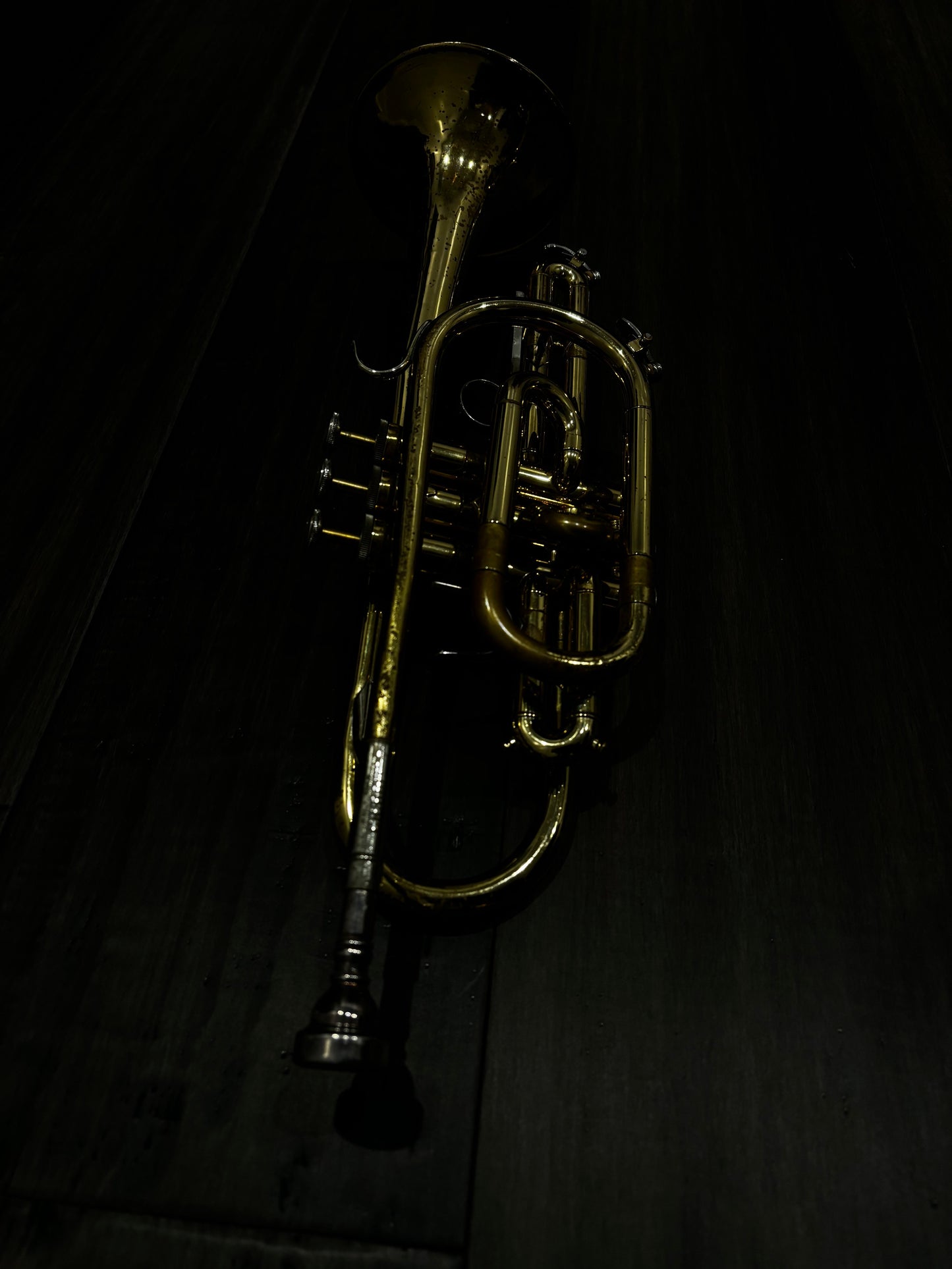 Bach CR300 Cornet