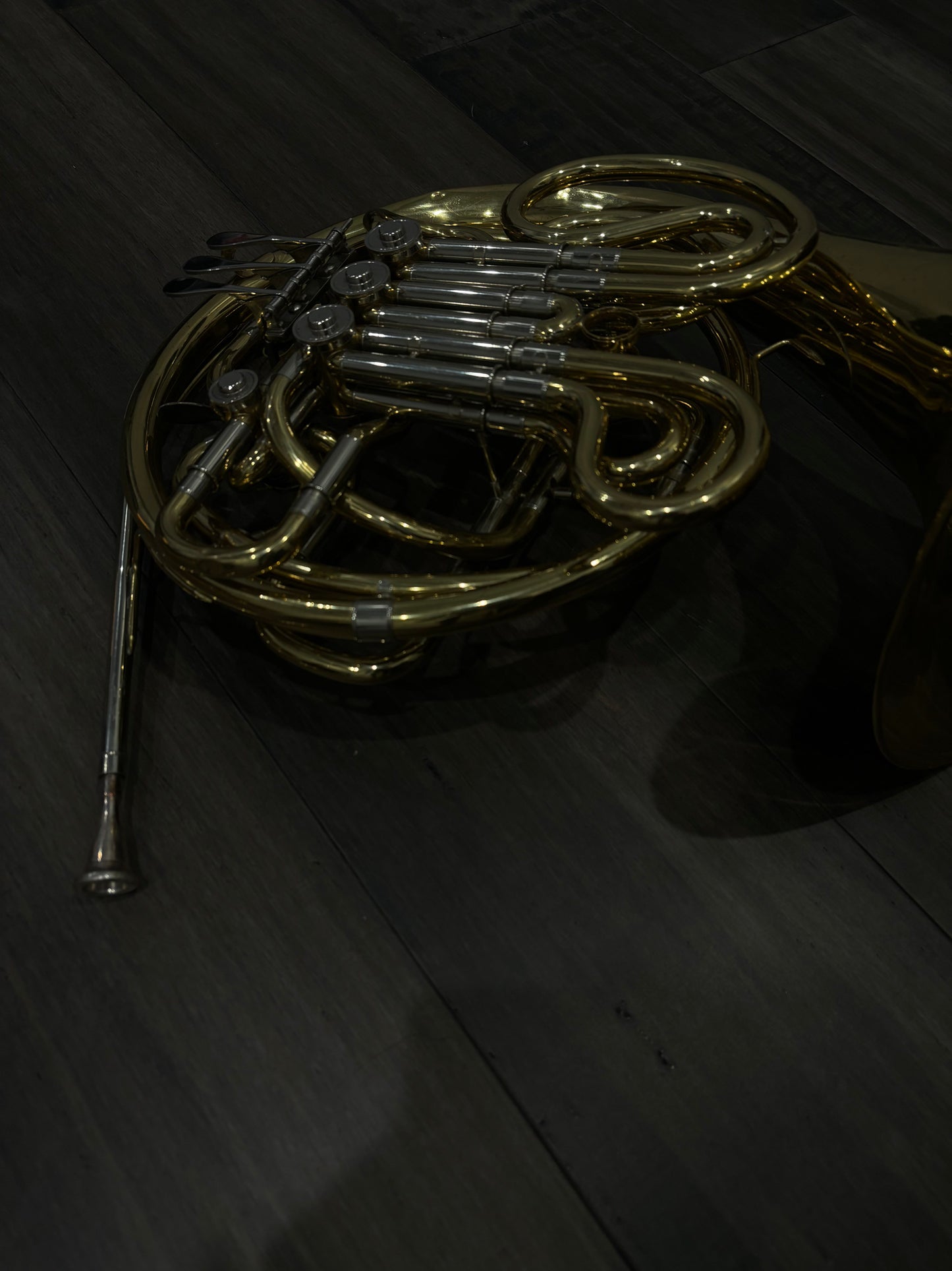 Strauss Double French Horn