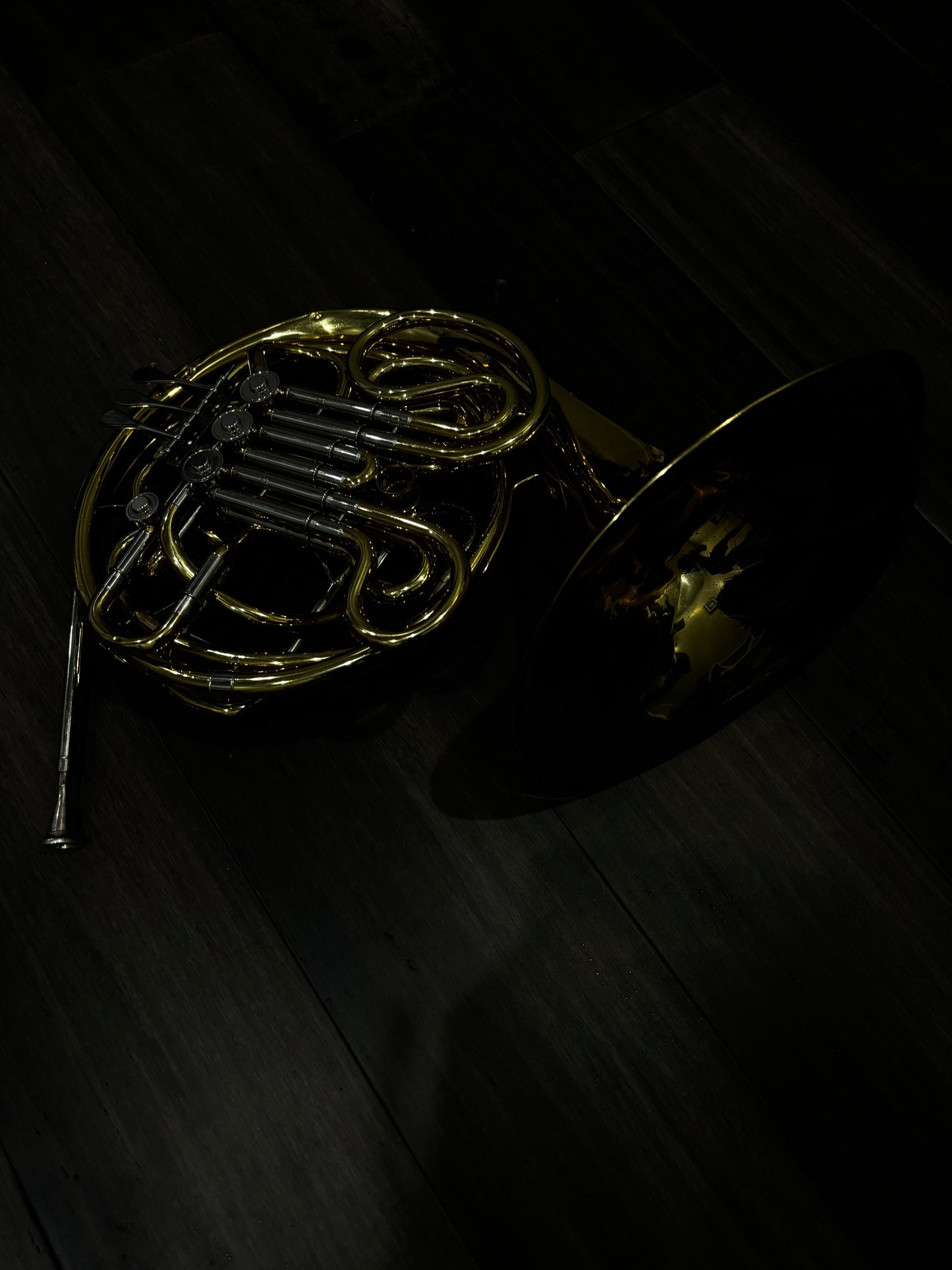 Strauss Double French Horn