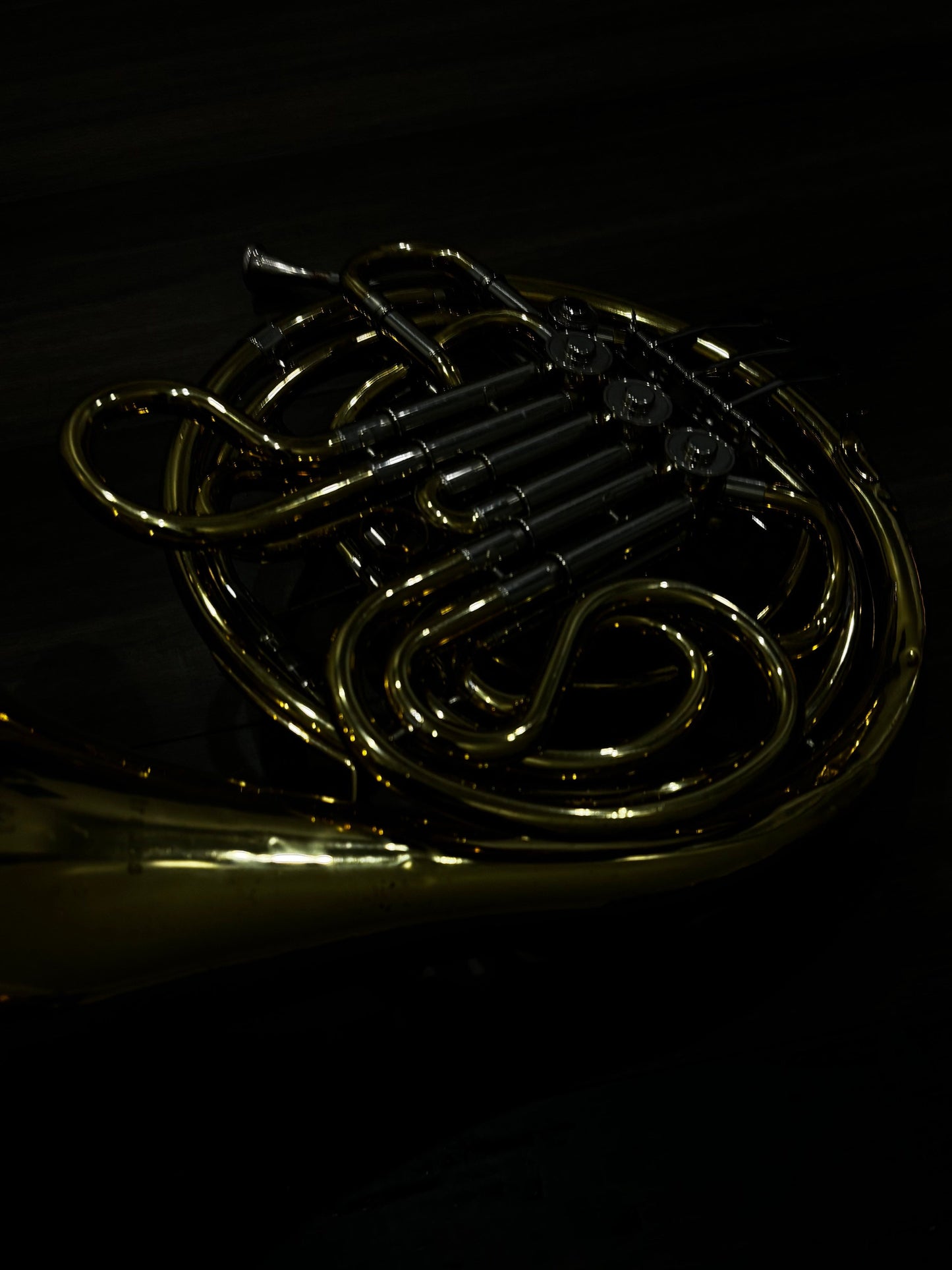 Strauss Double French Horn