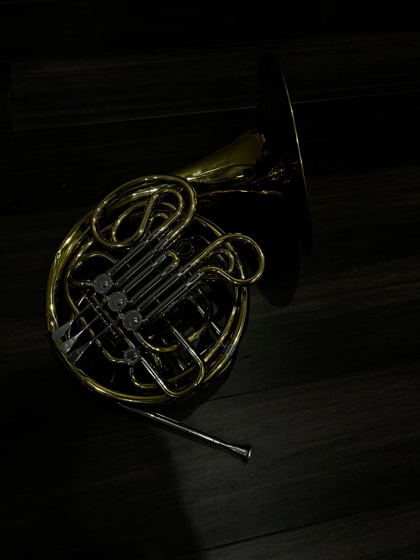 Strauss Double French Horn